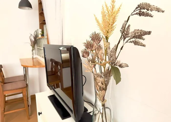 Cozy Studio In City Centre
